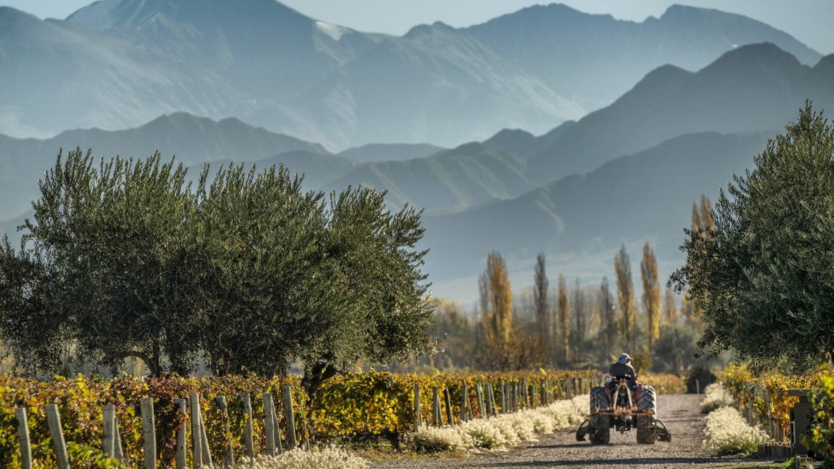 Lire la suite à propos de l’article Cheval des Andes, quand Cheval Blanc galope en Argentine