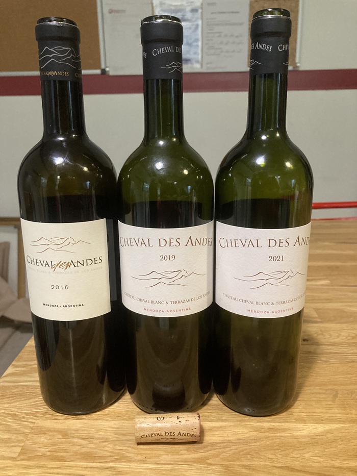 Cheval des Andes