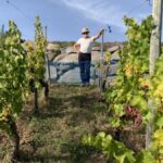 Jean-Michel Deiss, apôtre de la complantation de cépages en Alsace