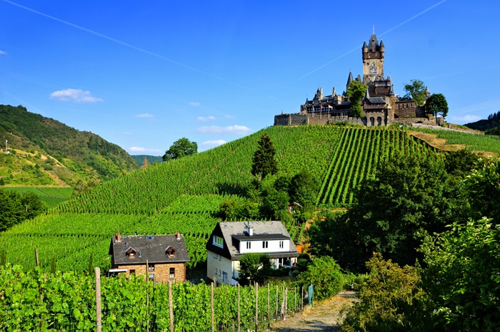 vins allemands