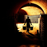 Classement des meilleurs champagnes : les 22 maisons et vignerons à connaître