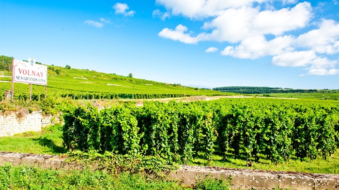 volnay origine