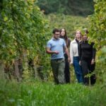 Cadgal, la révolution de Moscato d’Asti
