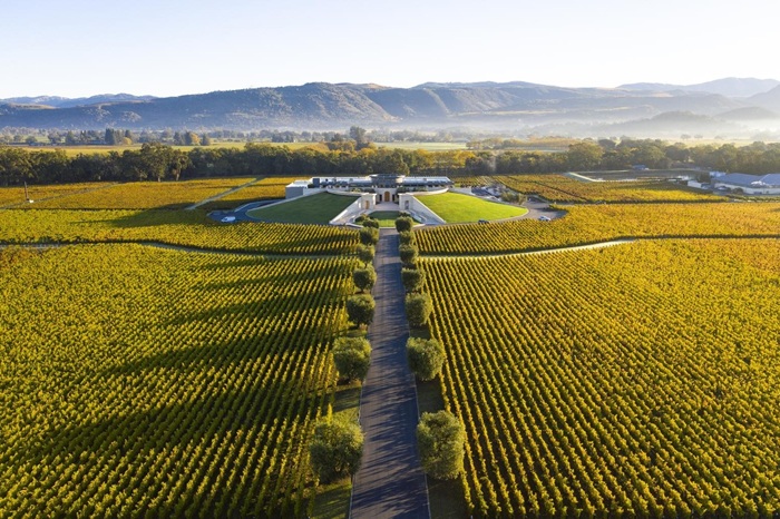 Opus one vin