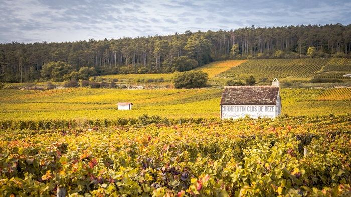 chambertin clos de beze