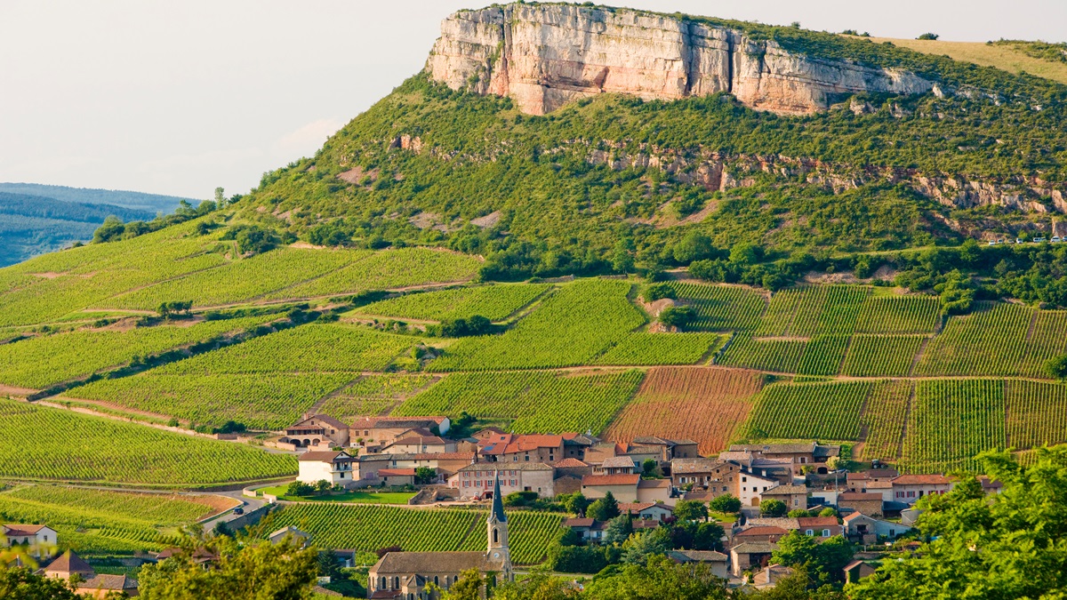 Lire la suite à propos de l’article Les appellations Pouilly-Loché et Pouilly-Vinzelles décrochent leurs premiers crus