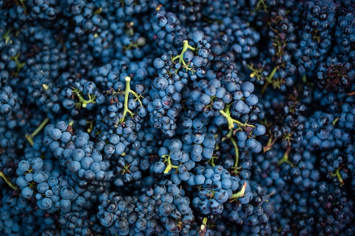 iDealwine - Hospices de Nuits vendanges 24