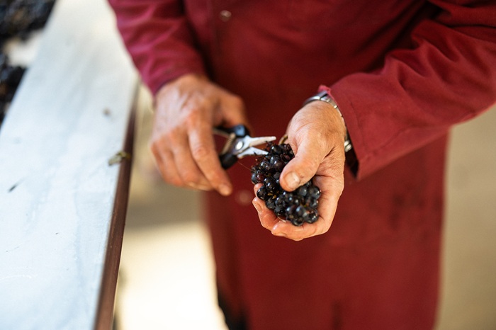 iDealwine - Hospices de Nuits vendanges 24