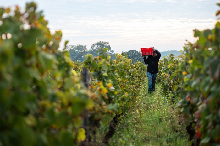 iDealwine - Hospices de Nuits vendanges 24