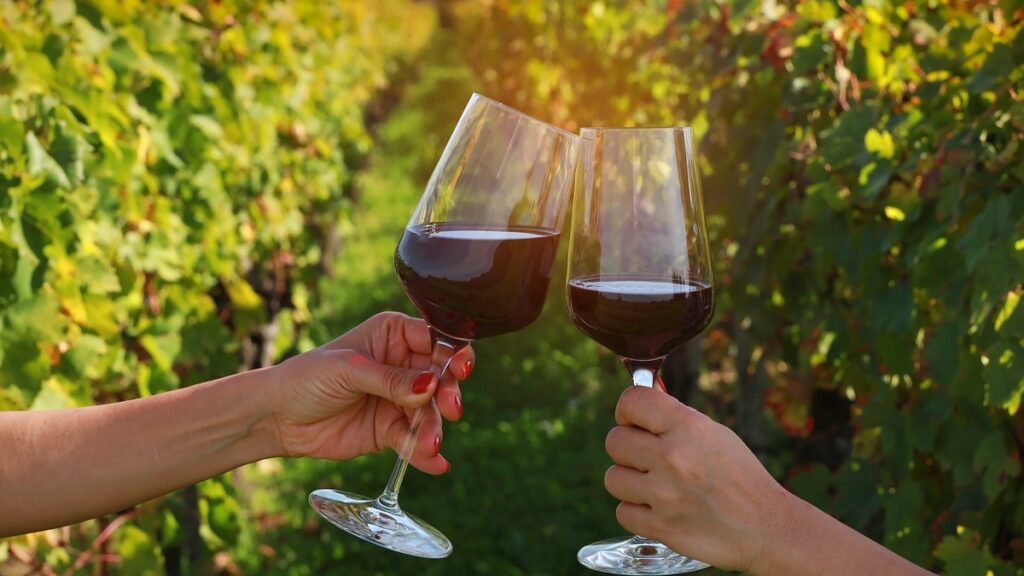 bordeaux millésime 2009
millésime 2009 bordeaux
vins de bordeaux 2009 et 2010
