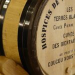 Hospices de Nuits : tout savoir sur la pièce de charité et l’association