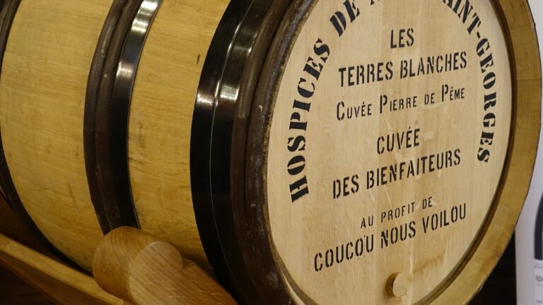 Lire la suite à propos de l’article Hospices de Nuits : tout savoir sur la pièce de charité et l’association