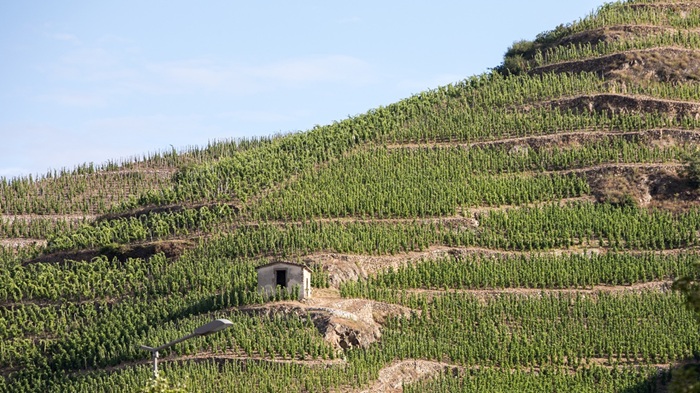 crozes hermitage gilles robin