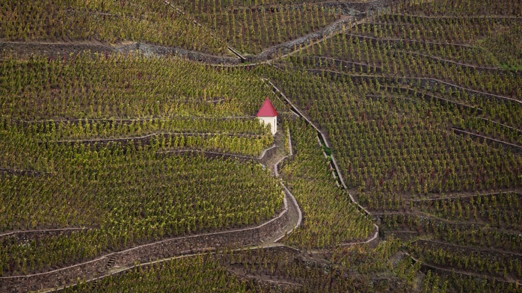 domaine bonnefond ampuis