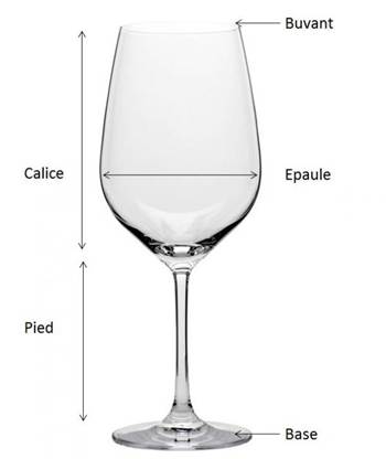 verre à vin pour dégustation
comment bien déguster un vin