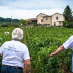 Lassarat & Fils : Héritage d’une passion, audace d’une vision