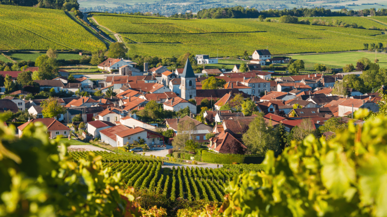 Lire la suite à propos de l’article Heidsieck, Krug, Bollinger, Deutz : l’empreinte allemande en Champagne