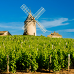 Les 5 raisons qui font la renommée du Beaujolais