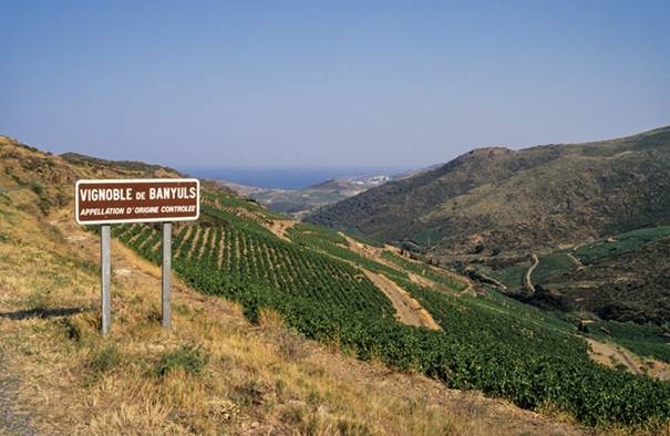 fabrication banyuls
banyuls alcool
vin de banyuls
banyuls