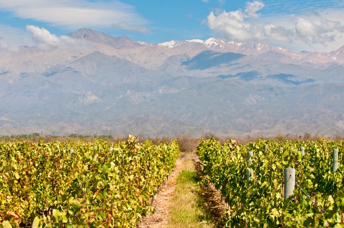 vin el enemigo
el enemigo
meilleur vin argentin
oenotourisme argentine
région mendoza vin