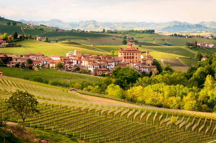 Giacomo Conterno
Vin italien le plus cher
vin italien cher
