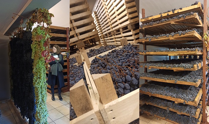 vins italiens
quintarelli
giuseppe quintarelli
vins italiens les plus connus