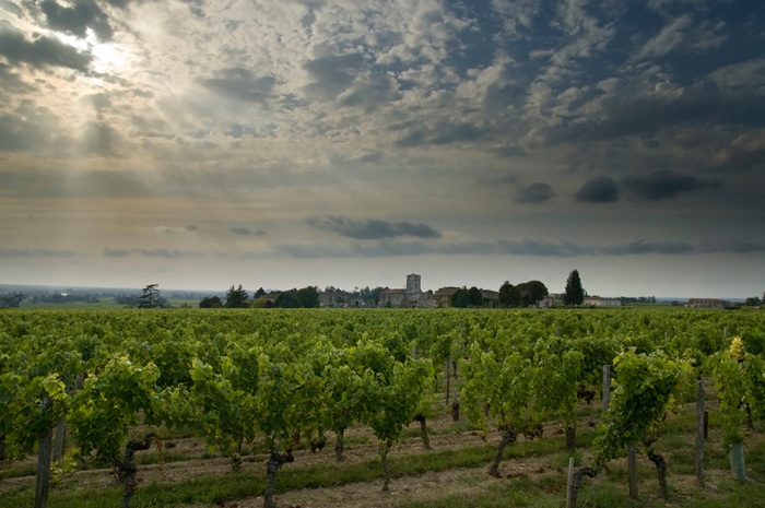 Primeurs-2024-bordeaux