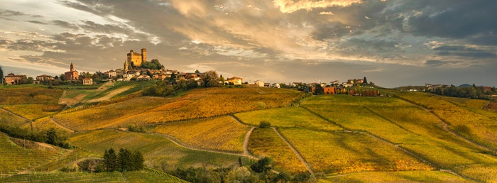 vin italien le plus cher
vins italiens
vins italiens les plus connus
rinaldi