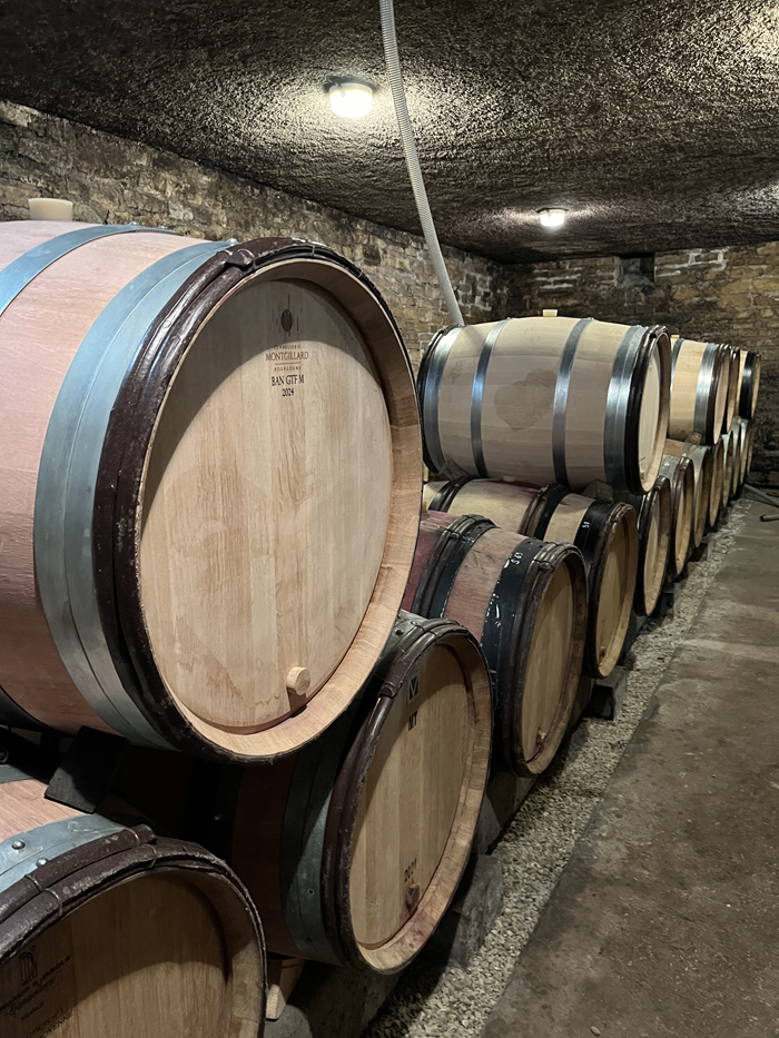 domaine Dubuet-Boillot
Maxime dubuet boillot
domaine maxime dubuet boillot