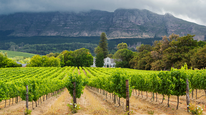 klein constantia farm