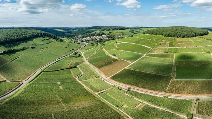 nouveaux domaines bourgogne