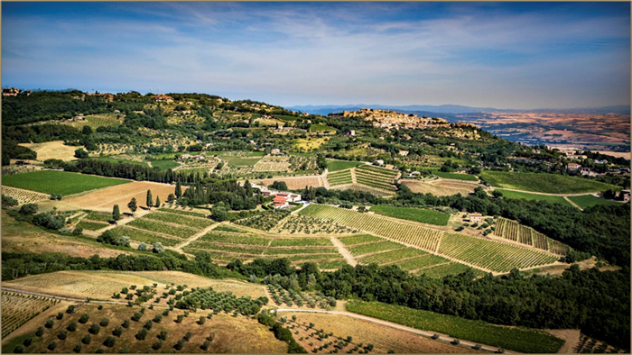 meilleur vin italien
Biondi-Santi
biondi santi
vin italien le plus cher