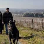 Champagne Thomas de Marne : une histoire de famille et de convictions