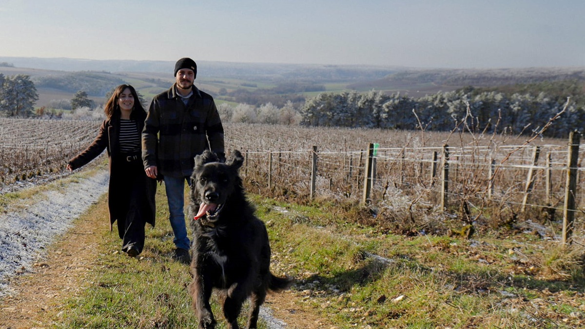 Lire la suite à propos de l’article Champagne Thomas de Marne : une histoire de famille et de convictions