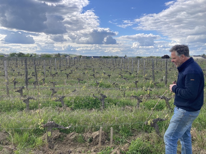 Matthieu Vallée vignes saumur