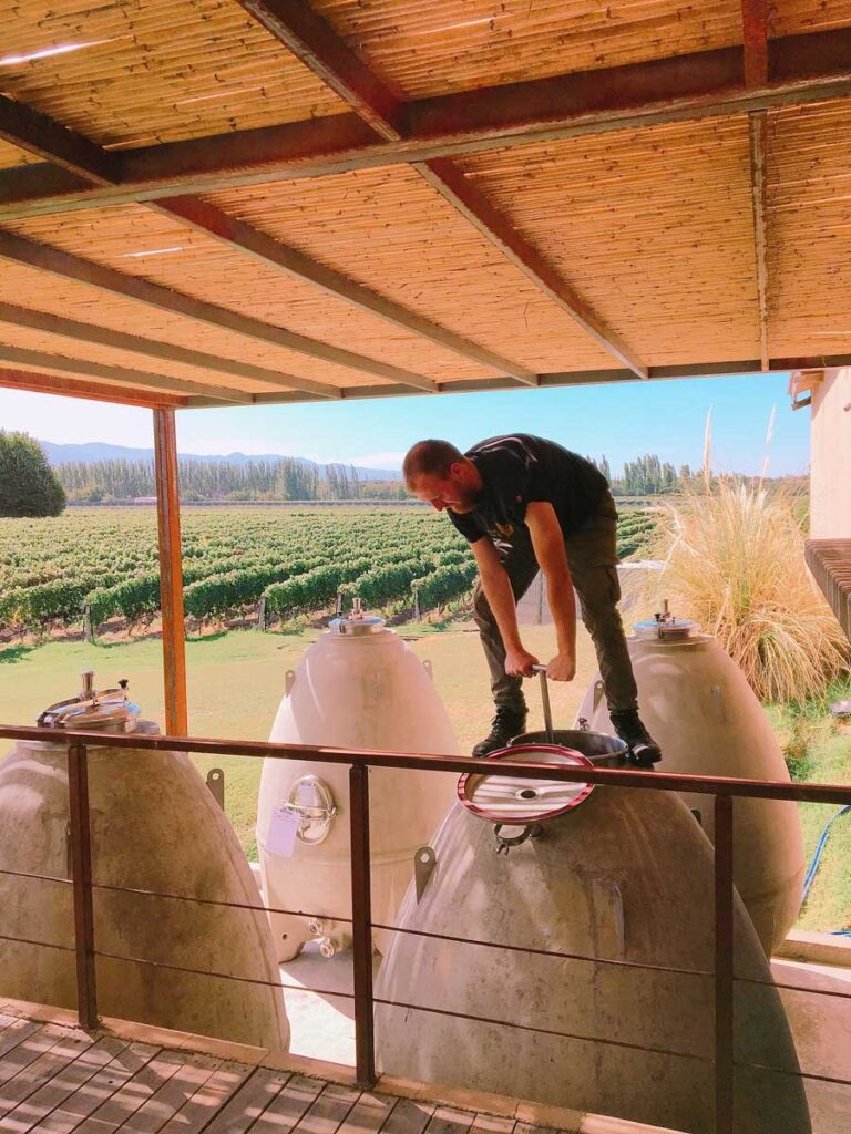 matias riccitelli
viticulture argentine