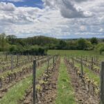 La Ferme du Mont Benault : le jardin de Stéphane Rocher