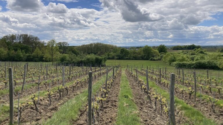 Lire la suite à propos de l’article La Ferme du Mont Benault : le jardin de Stéphane Rocher