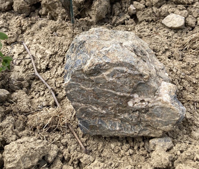 spilite