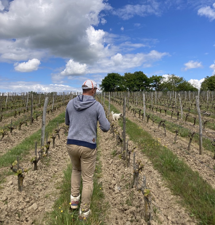 stéphane rocher dans ses vignes