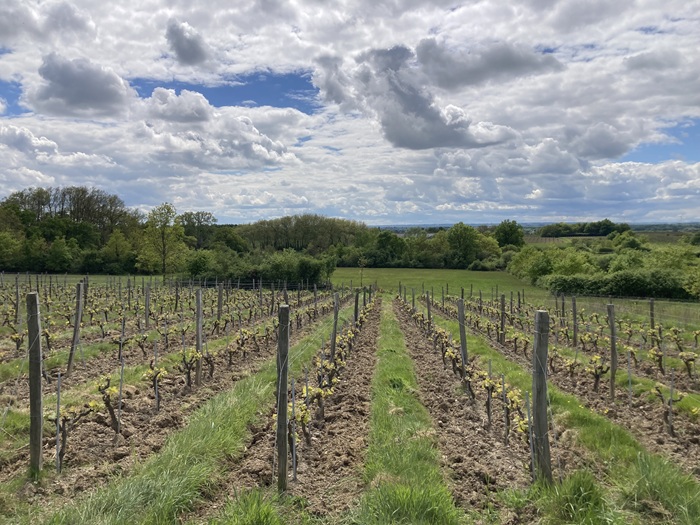 stéphane rocher ferme du mont benault