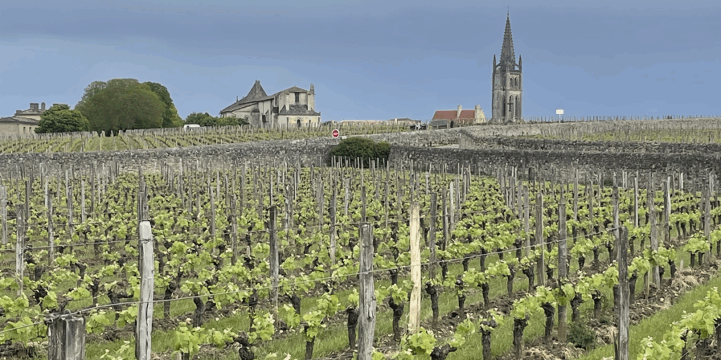 Vignoble Bordeaux Primeurs 2024 Vignoble Bordeaux Primeurs 2024