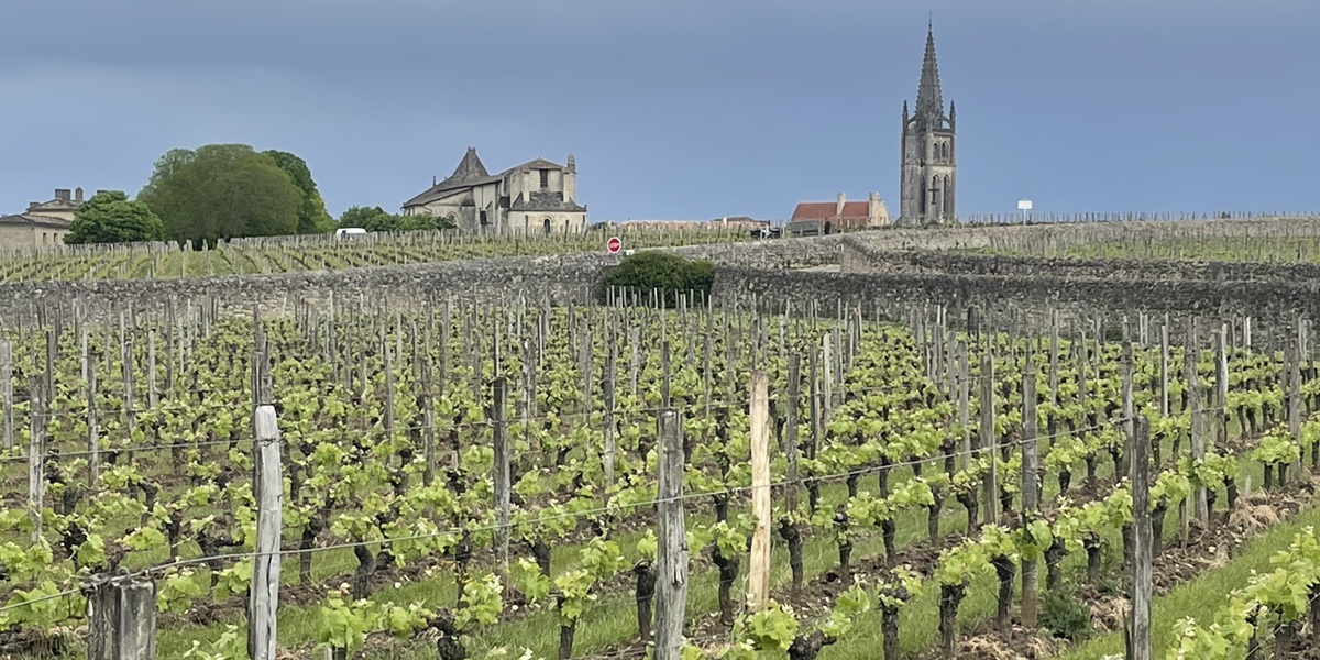 Lire la suite à propos de l’article Primeurs 2024 | Des vins à boire dans leur jeunesse ?