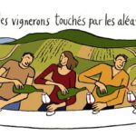 Enchères caritatives : cap sur l’Anjou pour les Vendanges Solidaires 