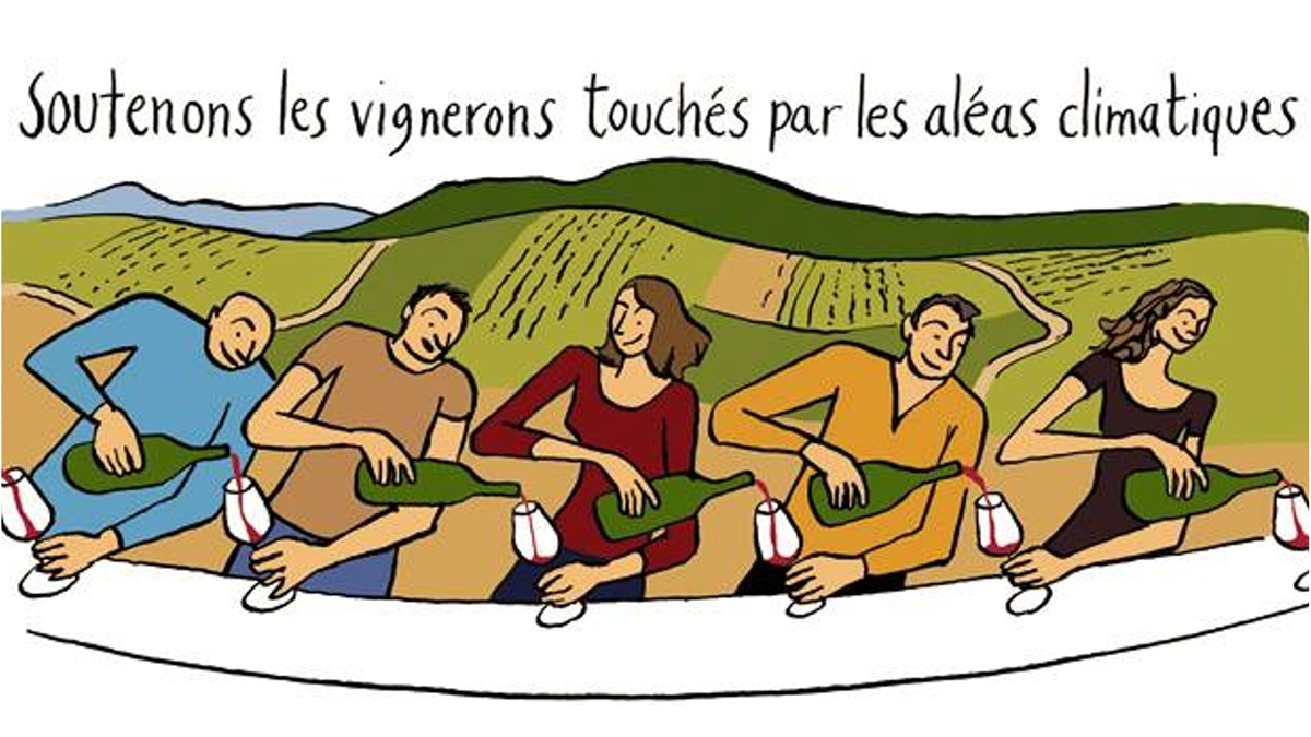 Lire la suite à propos de l’article Enchères caritatives : cap sur l’Anjou pour les Vendanges Solidaires 