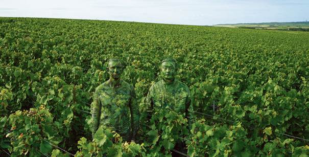 ruinart Liu Biolin © Ruinart