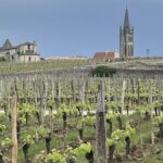 Primeurs 2024 | Des vins à boire dans leur jeunesse ?