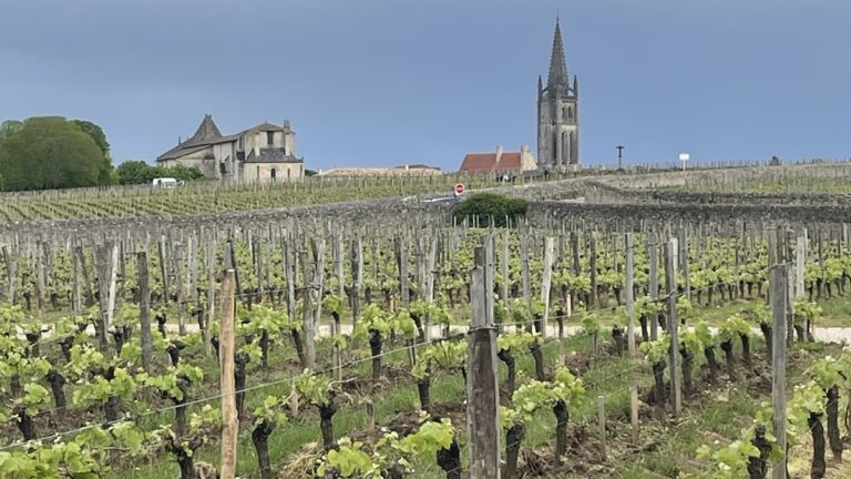 Lire la suite à propos de l’article Primeurs 2024 | Des vins à boire dans leur jeunesse ?