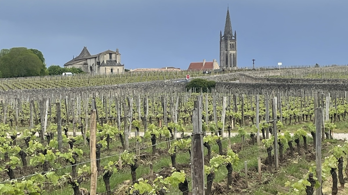 Lire la suite à propos de l’article Primeurs 2024 | Des vins à boire dans leur jeunesse ?