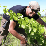Romain Le Bars, l’instinct nature de Tavel et Lirac